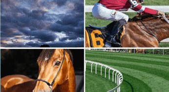 INDIBET India Horse Racing Online Betting