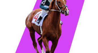INDIBET Online Horse Racing Betting