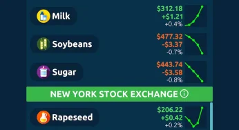Stock Market Game